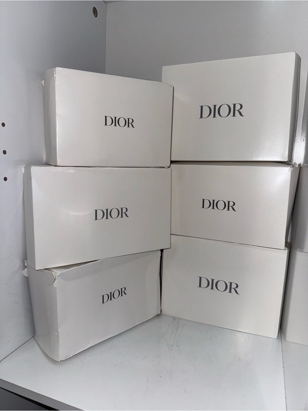 Mystery Dior Cosmetic Bag